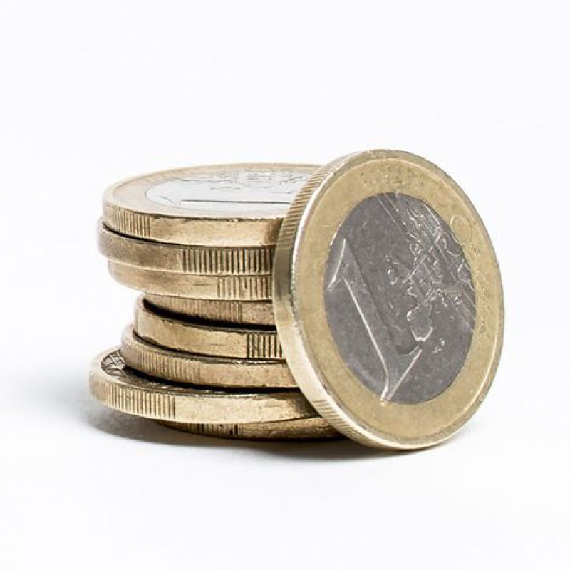 Contributies en lesgelden